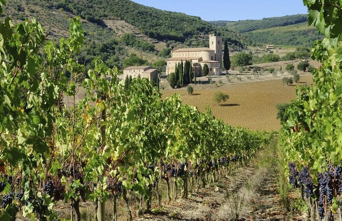 Pienza, Val Dorcia, Montalcino Wine and Pecorino Cheese PRIVATE TOUR From SIENA