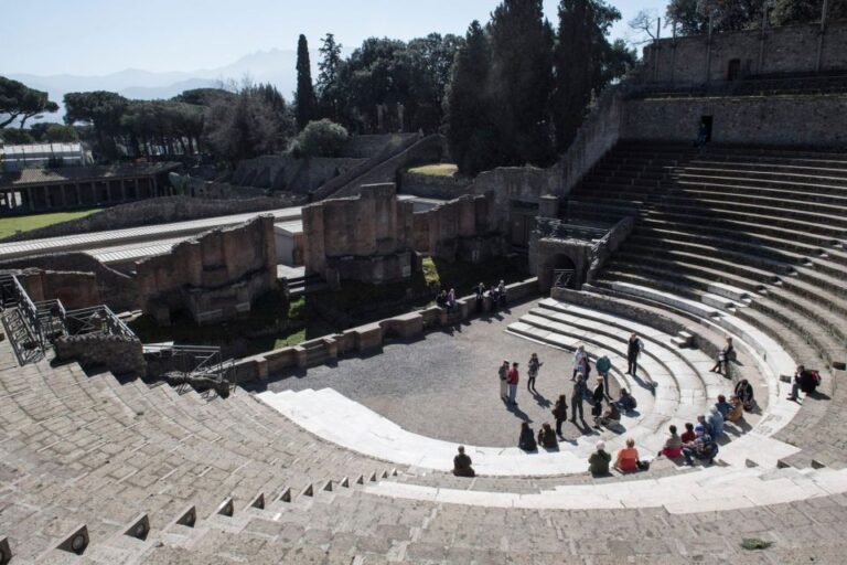 Pompeii, Oplontis and Herculaneum From Naples