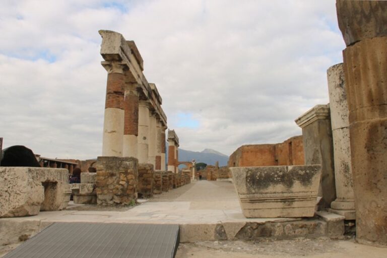 Pompeii Wheelchair Accessible Private Tour
