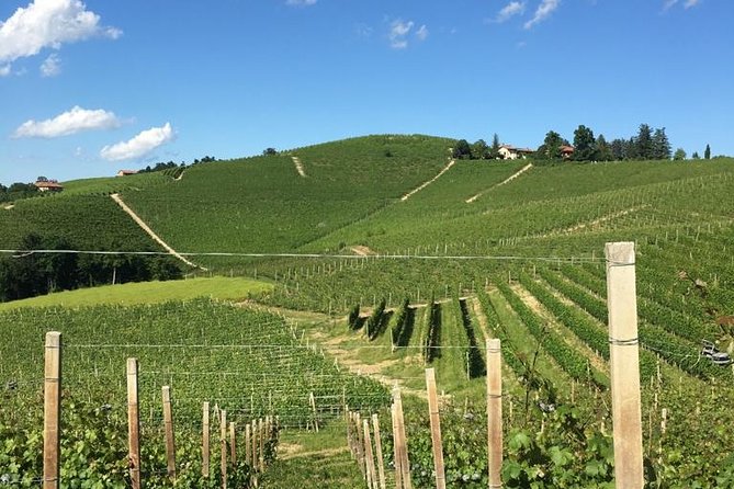 Private Barolo / Barbaresco – Piedmont Wine Tours and Tastings