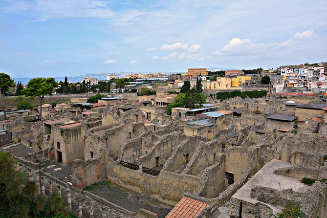 Skip the Line: Herculaneum Ruins Ticket + Optional Guided Tour