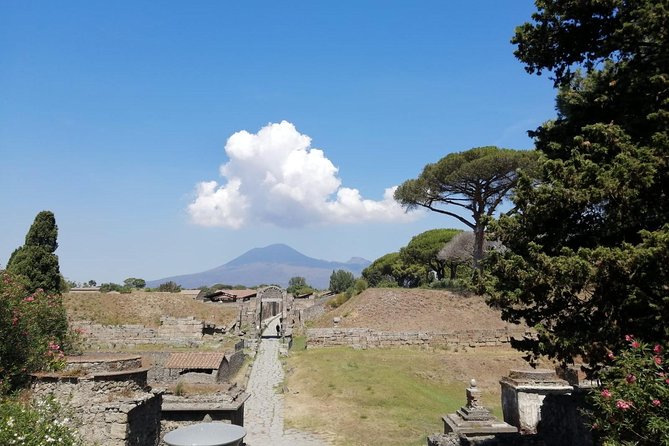 Skip-The-Line Pompeii & Volcano Vesuvius Day Tour W Hotel or Port Pickup