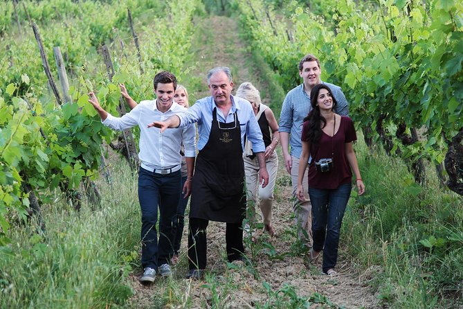 Unforgettable Lunch in the Vine Rows in Tuscany