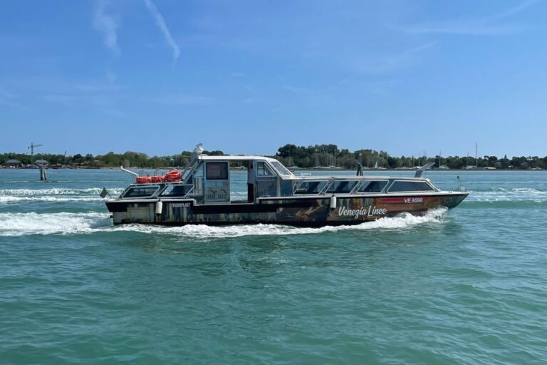 Venice: 1-Hour Panoramic Boat Tour