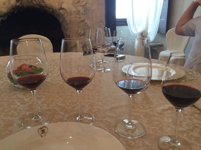 Verona: Amarone Wine Tour With Gourmet Lunch in Roman Villa