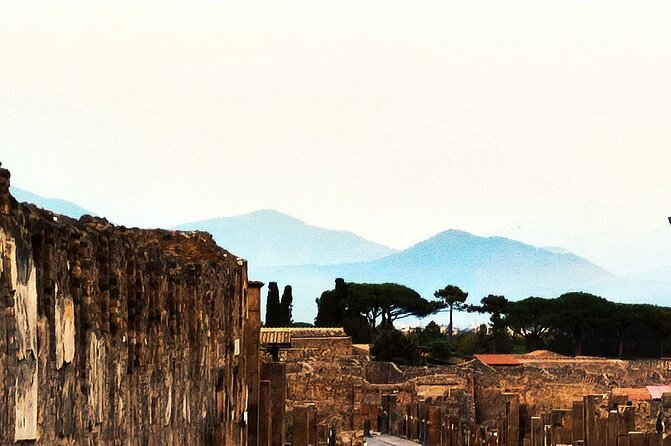 2 Hours Private Tour in Pompeii With Archaeologist - Additional Information