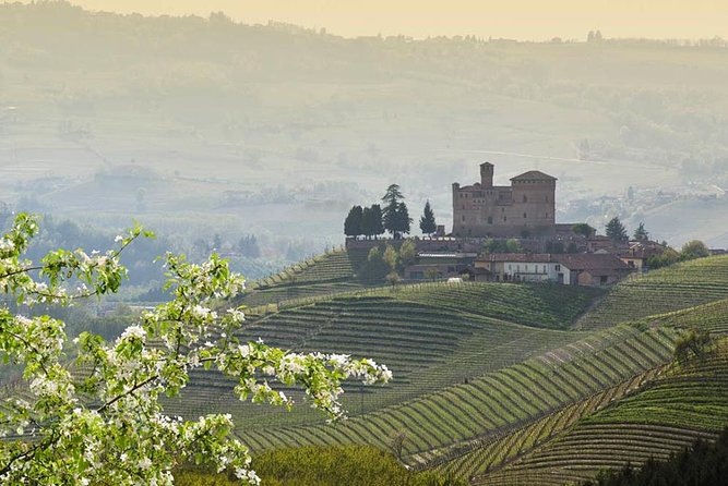 Barolo Wine and Food Tasting at Piedmont Region Winery - Behind-the-Scenes Experience