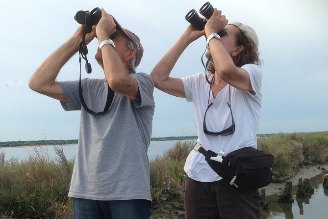 Birdwatching by Boat in a Small Group in the Pialassa Baiona - Booking Information