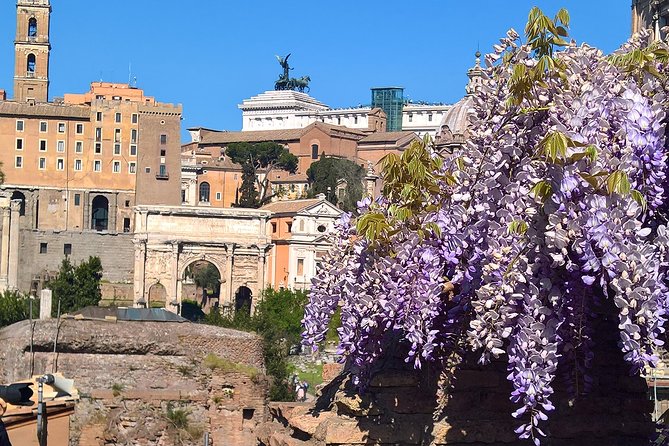 Colosseum and Roman Forum in Dutch - Meeting Point