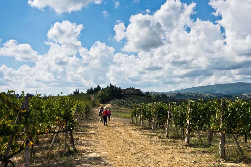 Florence: Private Full Day Tour to Chianti Wine Region - Tour Description