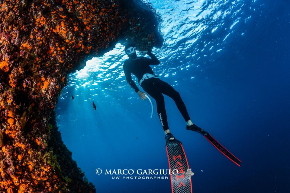 Freediving in the Wild of the Amalfi Coast/Capri/Sorrento: - Instructor & Experience