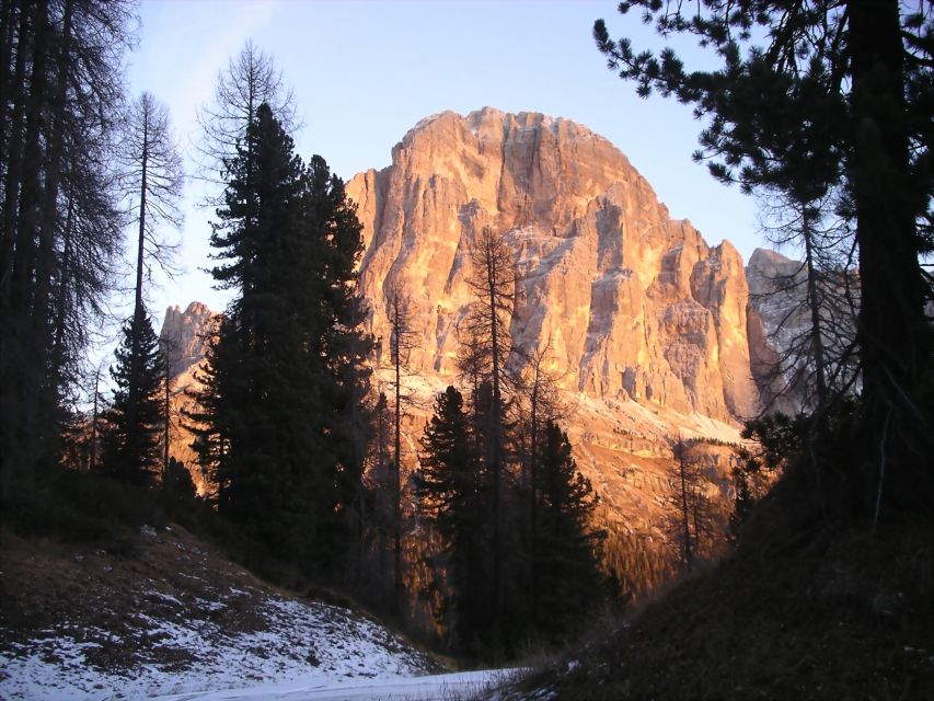 From Cortina: Dolomites 1-Day Tour - Just The Basics