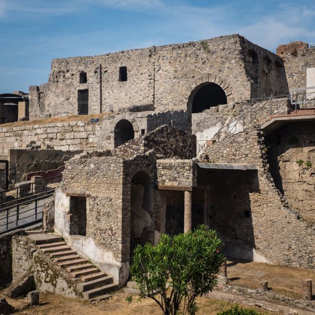 From Naples: Private Tour of Pompeii - Price and Inclusions