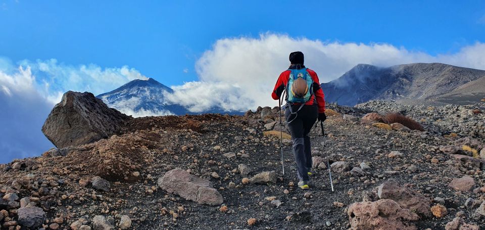 From Taormina or Catania: Private Full-Day Mount Etna Hike - Activity Description