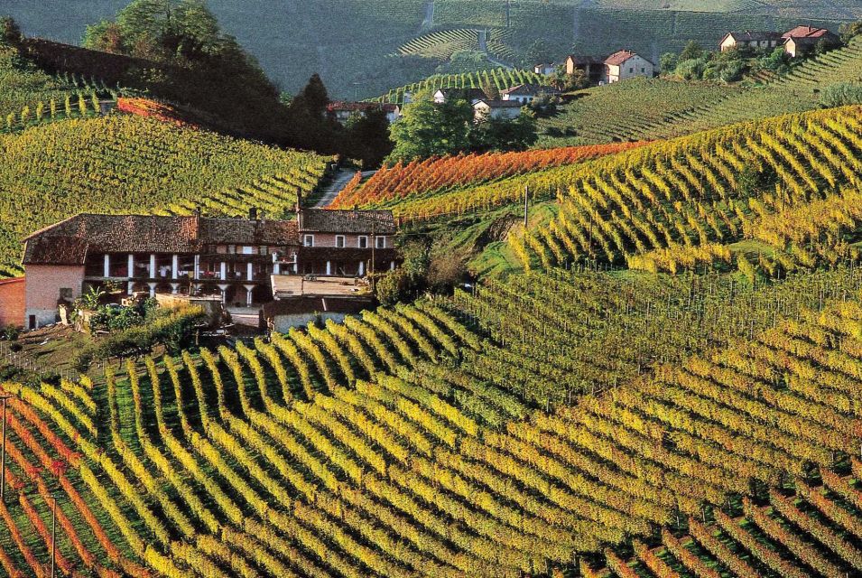 Full-Day Langhe Region Tour With Wine Tasting Experience - Pricing Details