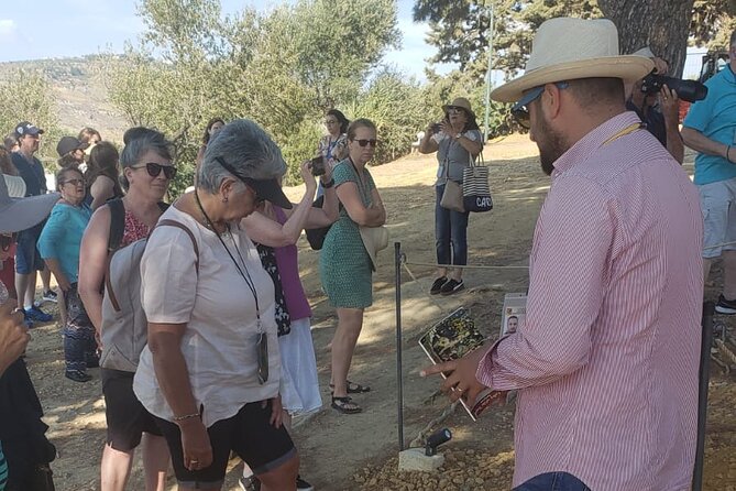 I Tour With the Archaeologist: Group Visit at Sunset to the Valley of the Temples - Location Details