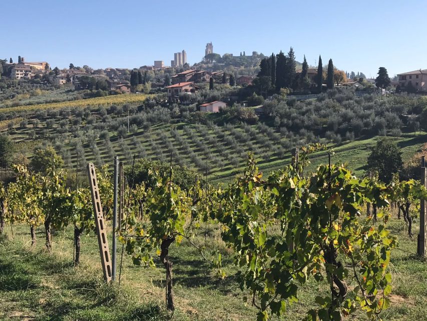 Lucca Private Day Tour to Chianti and San Gimignano - Inclusions