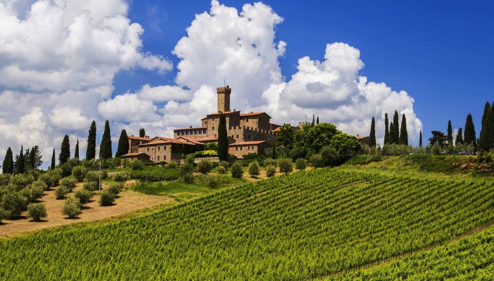 Montalcino Truffle and Wine Tasting Day Tour From Rome - Highlights