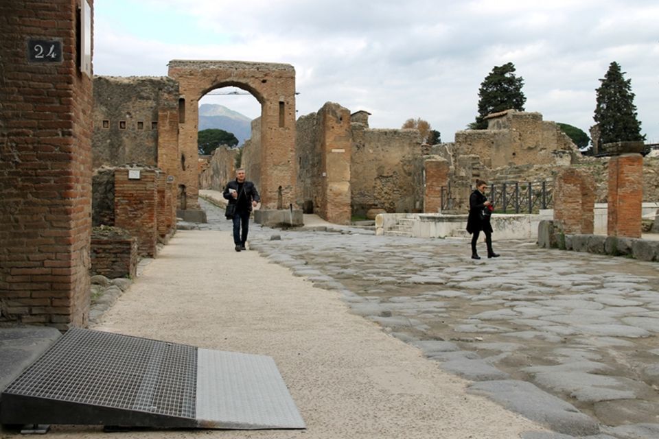 Pompeii Wheelchair Accessible Private Tour - Tour Description