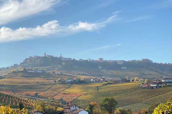 Private Barolo / Barbaresco - Piedmont Wine Tours and Tastings - Itinerary Highlights