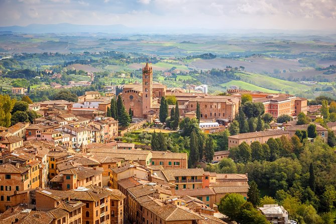 Private Day Trip to Siena, San Gimignano, Chianti and Pisa, From Florence - Transportation Details