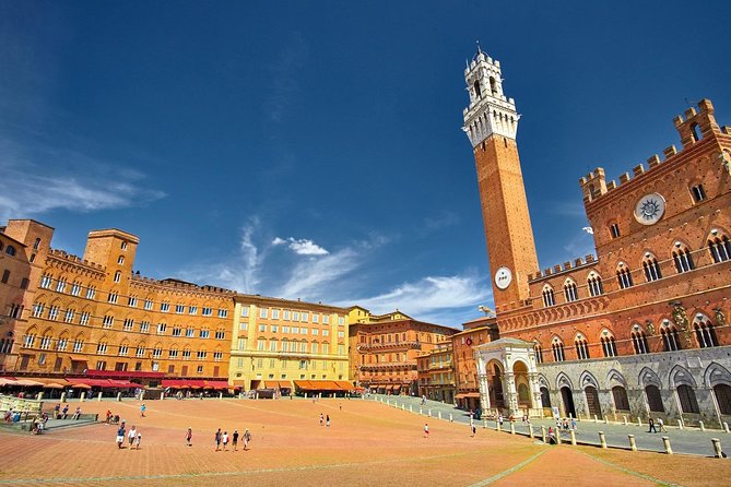 Private Excursion to Siena, San Gimignano and Chianti Landscapes - Guide and Driver Information