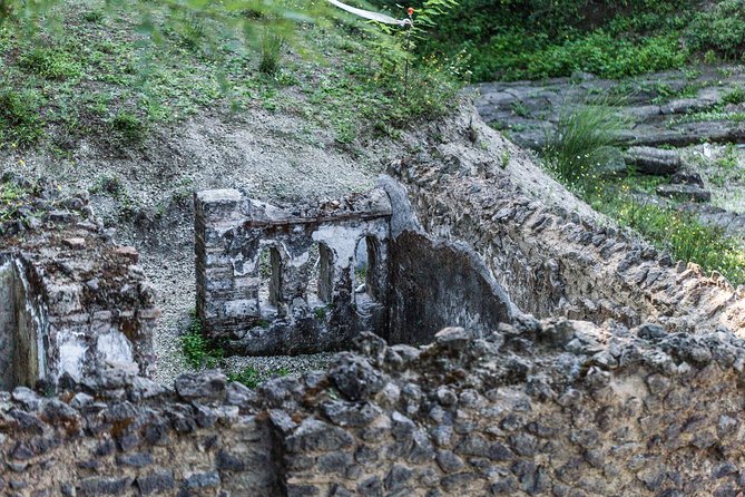 Private Tour of Pompeii Ruins + Organic Wine and Lunch Tasting - Meeting Point and Pickup