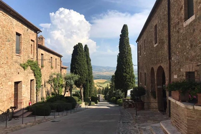 Siena, San Gimignano & the Chiantiside Private Tour With Mercedes V Class Van - Inclusions and Amenities