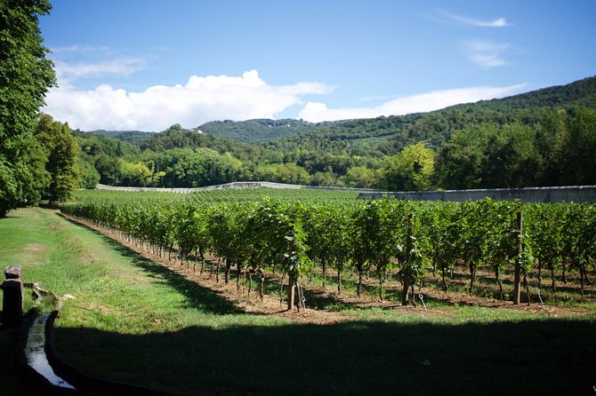 The Amarone Chateau Guided Tour and Tasting in Valpolicella - Meeting Point Details