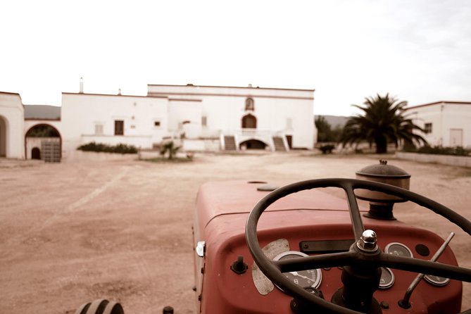 Tour and Extra Virgin Olive Oil Tasting in a Farmhouse, Small Group - Activity Information