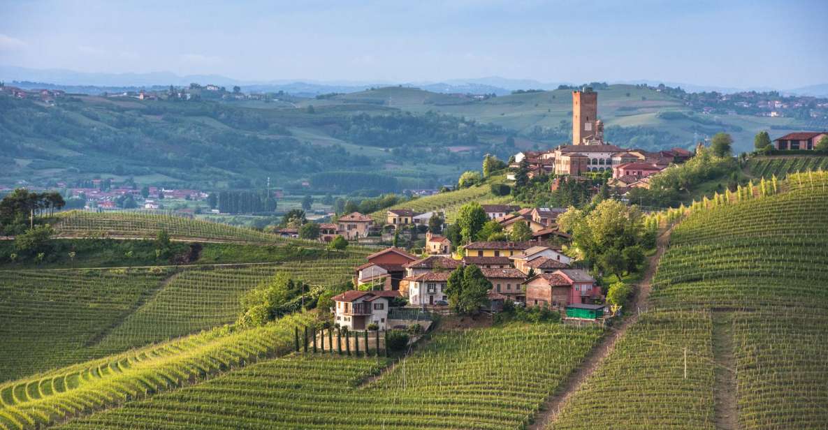 Turin: Private Barolo Wine Region Day Trip With Lunch - Full Description