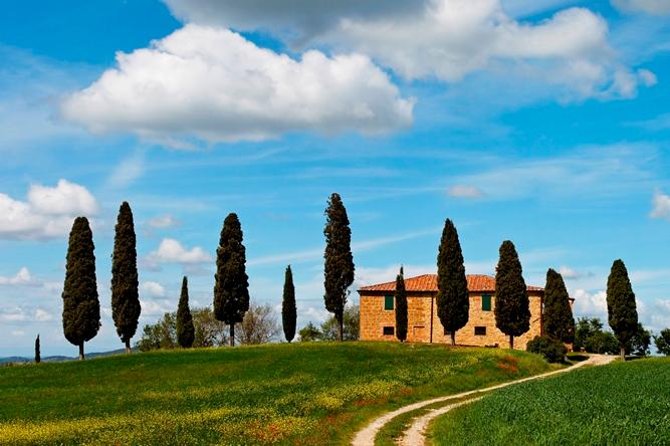 Tuscan Chianti Hills Horseback Riding Tour - Tour Inclusions