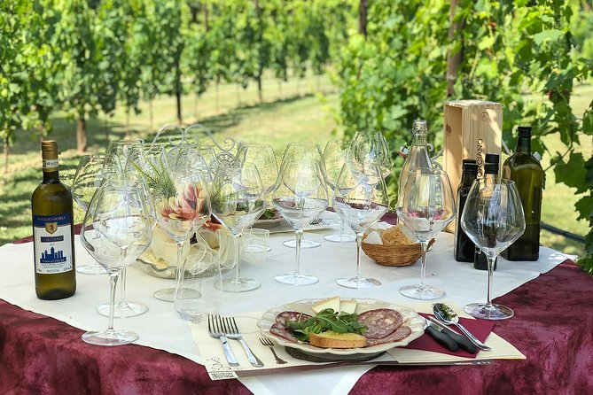 Unforgettable Lunch in the Vine Rows in Tuscany - Inclusions