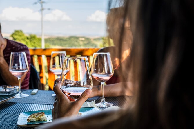 Wine Tasting at the Winery in the Panoramic Terrance - Booking and Accessibility Details