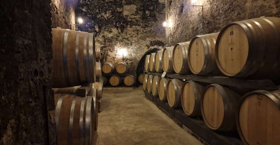 Wine Tasting in Montepulciano Tuscany Private Tour From Rome - Language Options and Pickup Details