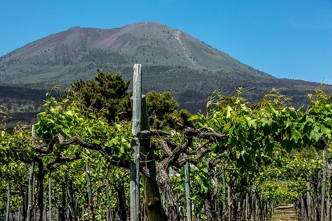 Wine Tasting on the Slopes of Vesuvius From Naples With Lunch - Menu Delights