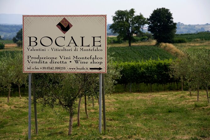 Winery Tour and Private Tasting in Montefalco - Location Details