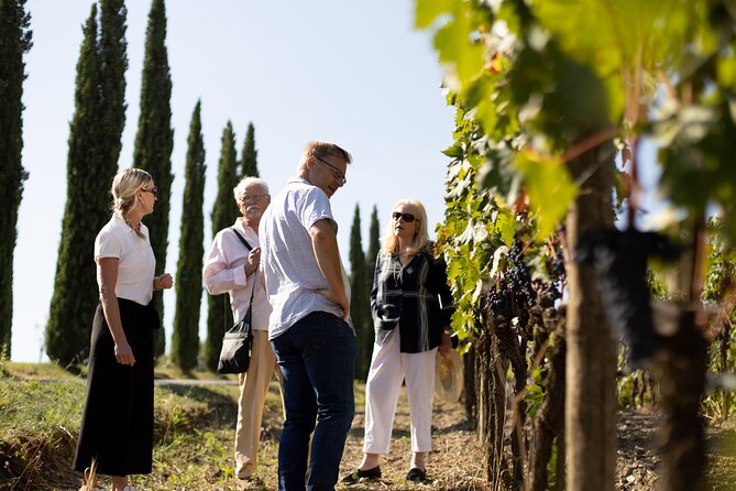 Winery Tour & Wine Tasting in Montalcino - Capacity & Accessibility Information