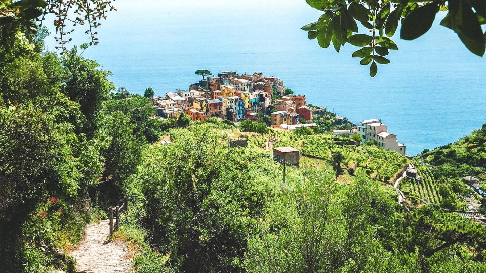 3 Days Hike & Kayak in Cinque Terre - Inclusions