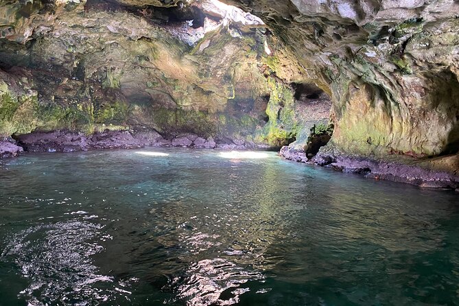 Boat Excursion to Polignano a Mare Between Caves and Coves - Cancellation Policy Details