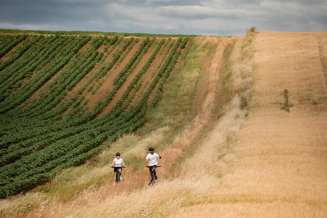 Castiglion Fiorentino - Ebike Tour in the Tuscan Countryside - Pricing Information