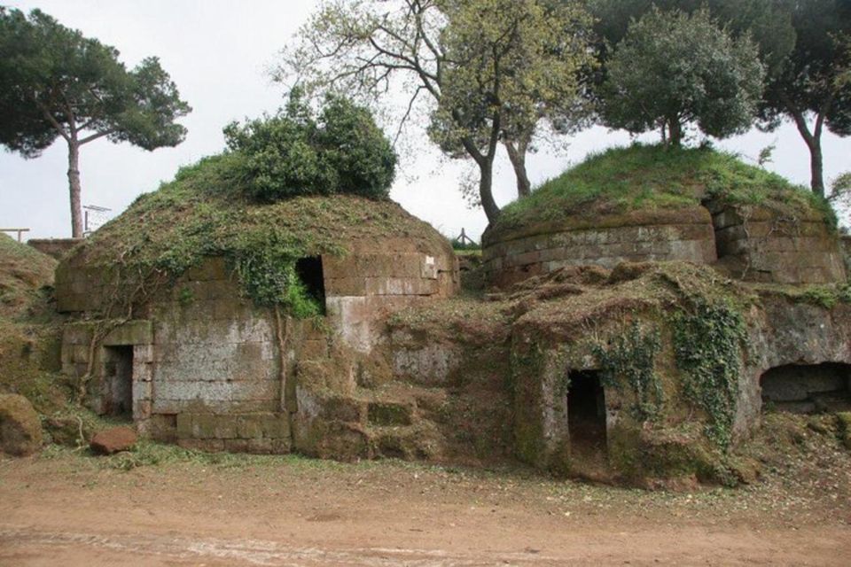 Cerveteri - the Etruscan Necropolis Private Tour From Rome - Tour Inclusions