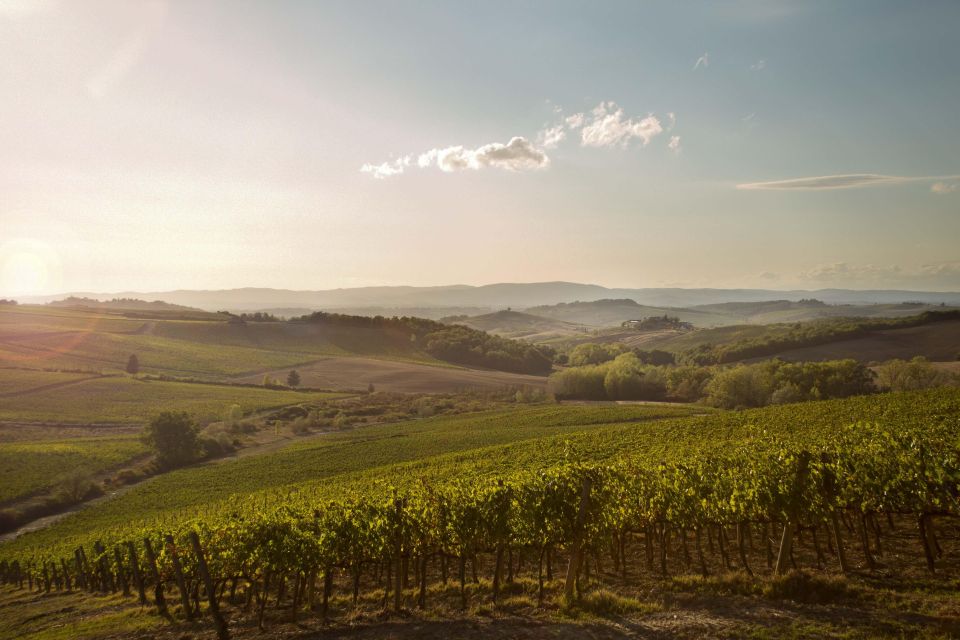 Chianti Classico and Super Tuscan Wine Tour - Itinerary