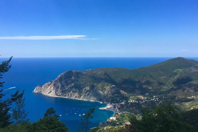 Cinque Terre Private Tour From Livorno - Customization Options