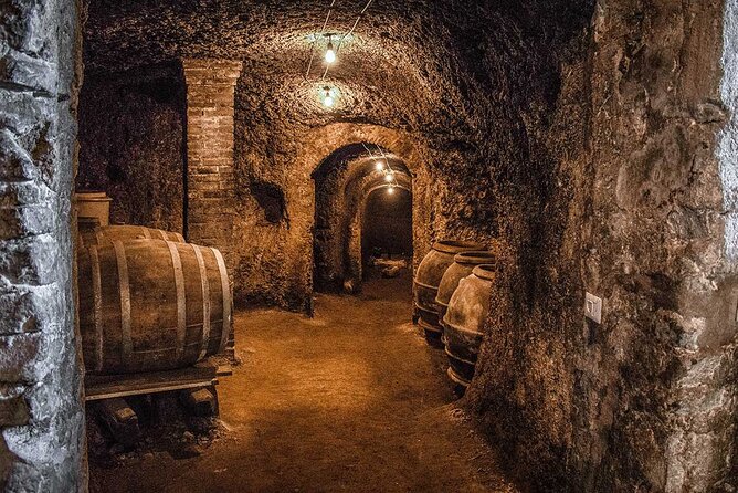 Classic Half-Day Wine Tour in Frascati - Winery Experience