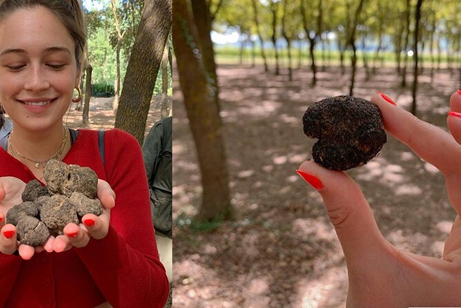 Experience Tuscan Truffle Hunting With Wine and Lunch - Inclusions and Itinerary Details