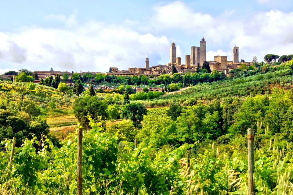 From Florence: Tuscany Day Trip With a Private Chauffeur - Full Description