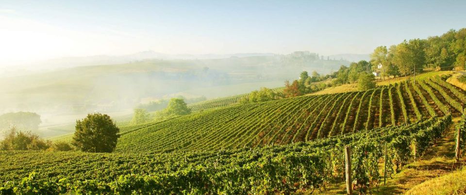 From Florence: Val Dorcia Wine Tour With Private Driver - Language Options and Pickup