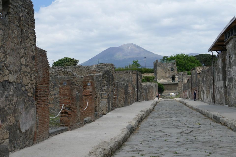 From Paestum:Pompeii Guided Tour With Wine Tasting and Lunch - Experience Highlights