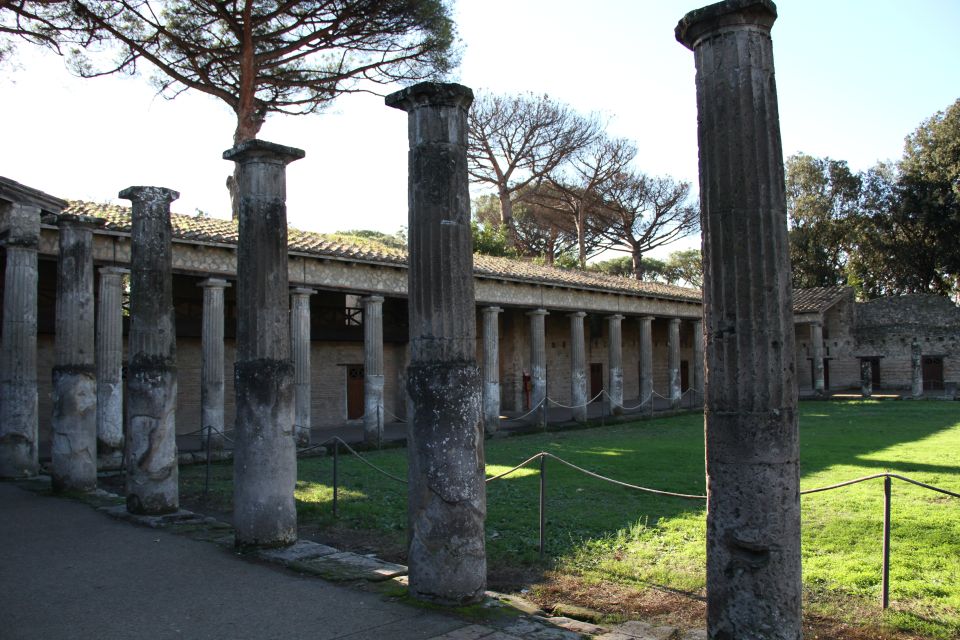From Rome: Private Pompeii Day Trip by Car/Train - Tour Experience
